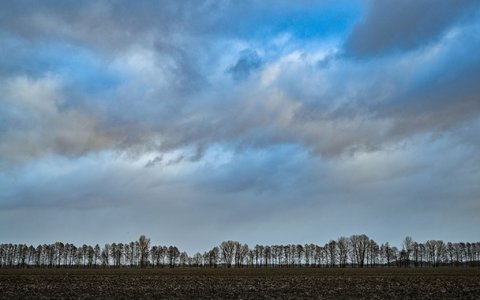 Wolken ziehen über die Landschaft im Oderbruch im Osten von Brandenburg. - Foto: Patrick Pleul/dpa