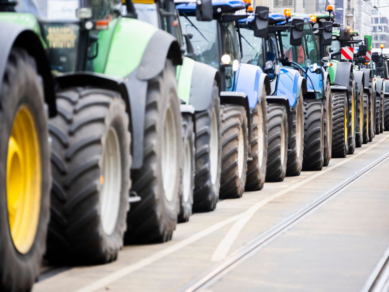 Protestierende vom Landesbauernverband Brandenburg in Berlin. - Foto: Christoph Soeder/dpa