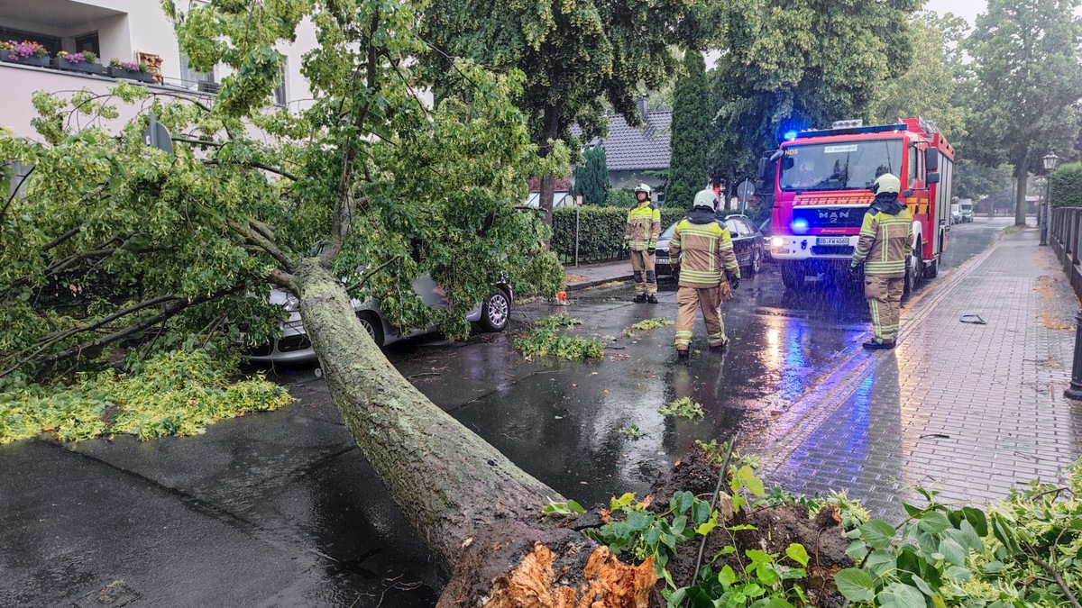 FW Dresden: Mehrere sturmmbedingte Einsätze im Stadtgebiet - Foto: presseportal.de