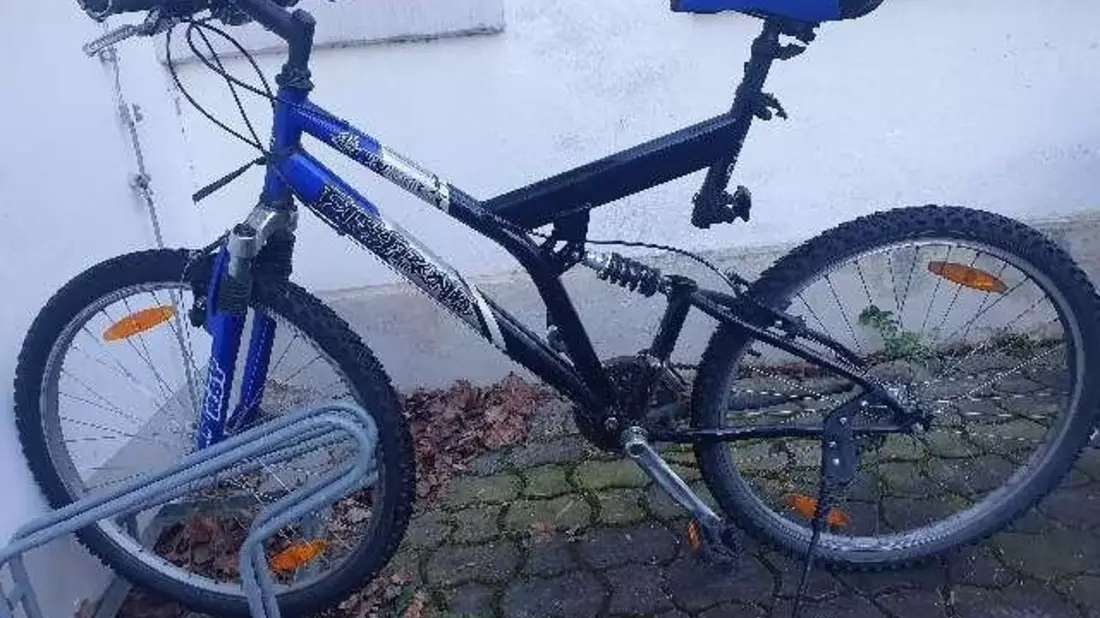 POL-EL: Lingen - Eigentümer/in gesucht - Bild: presseportal.de