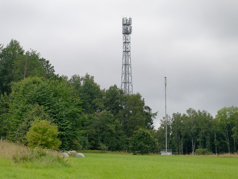 Im Oktober 2023 gab es nach Angaben der Bundesnetzagentur auf 2,5 Prozent der Fläche Deutschlands 4G-Funklöcher. - Foto: Henning Kaiser/dpa