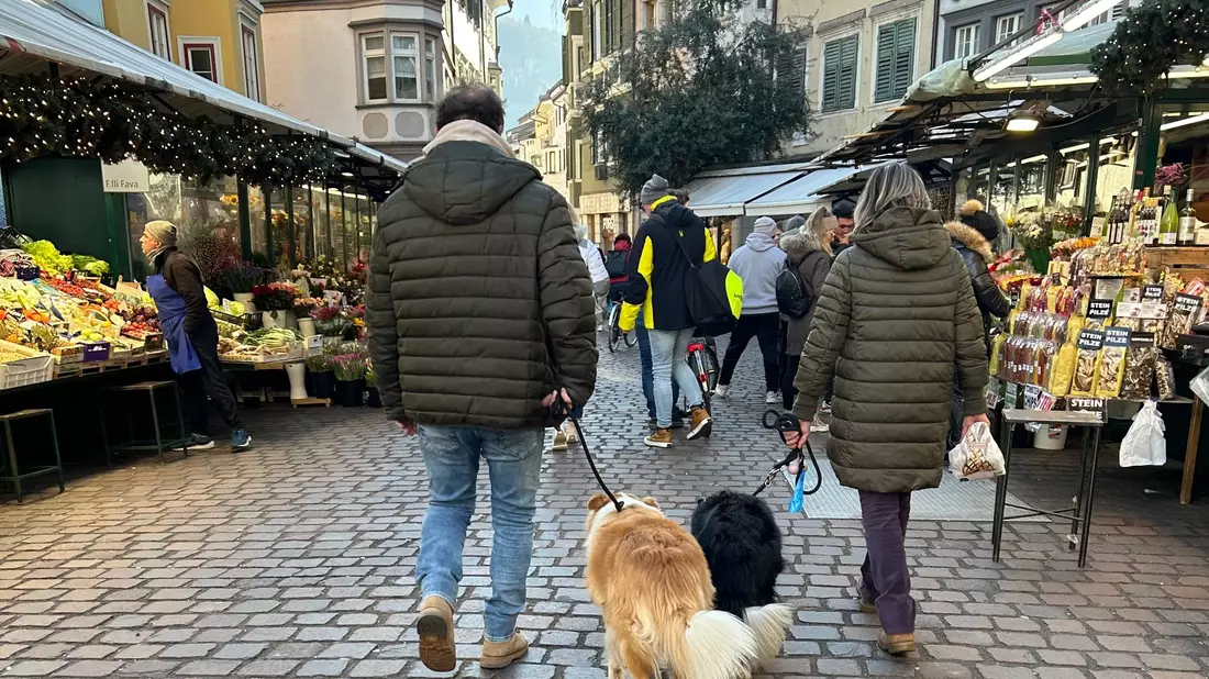 Ist das Häufchen per DNA-Abgleich erstmal identifiziert, könnte das in Bozen für Hundebesitzer bald sehr teuer werden. - Bild: Christoph Sator/dpa