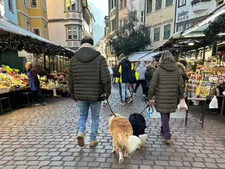 Ist das Häufchen per DNA-Abgleich erstmal identifiziert, könnte das in Bozen für Hundebesitzer bald sehr teuer werden. - Foto: Christoph Sator/dpa