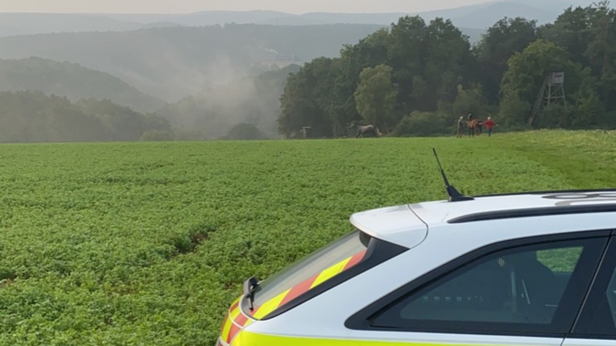POL-PDNW: Grünstadt - Pkw unter Betäubungsmitteleinfluss geführt - Foto: presseportal.de