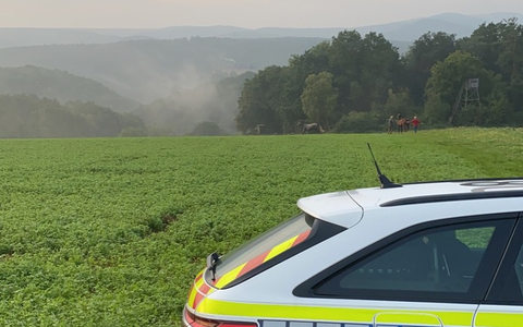 POL-PDNW: Alkoholisierter Kleinkraftradfahrer ohne Führerschein - Foto: presseportal.de