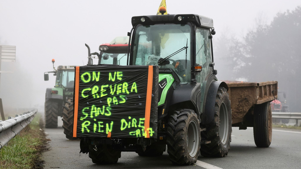 «Wir werden nicht sterben, ohne ein Wort zu sagen» - auch in Frankreich brodeln Bauernproteste. - Foto: Fred Scheiber/AP/dpa