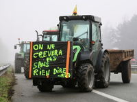 «Wir werden nicht sterben, ohne ein Wort zu sagen» - auch in Frankreich brodeln Bauernproteste. - Foto: Fred Scheiber/AP/dpa