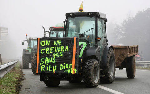 «Wir werden nicht sterben, ohne ein Wort zu sagen» - auch in Frankreich brodeln Bauernproteste. - Foto: Fred Scheiber/AP/dpa