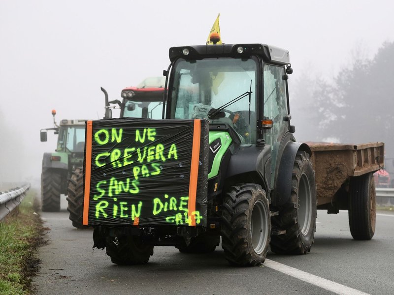 «Wir werden nicht sterben, ohne ein Wort zu sagen» - auch in Frankreich brodeln Bauernproteste. - Foto: Fred Scheiber/AP/dpa