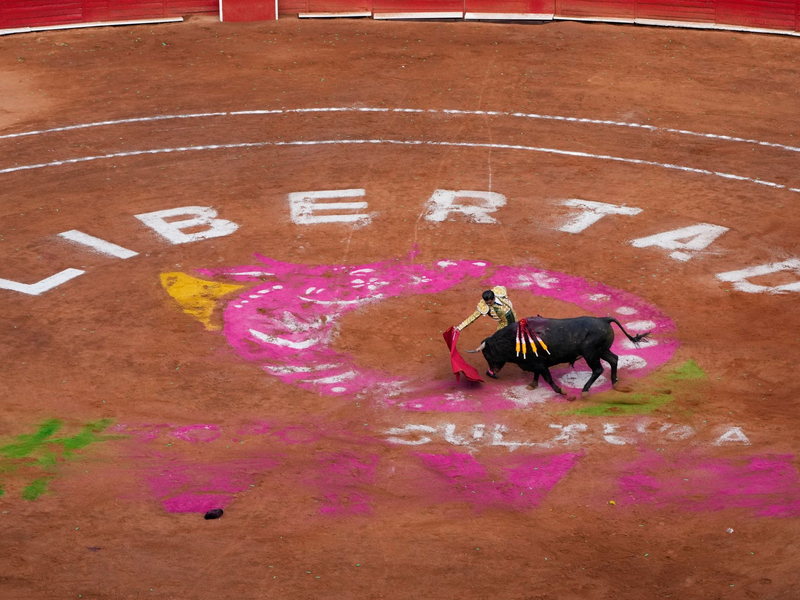 Nach rund anderthalbjähriger Pause finden in der Plaza México in Mexiko-Stadt wieder Stierkämpfe statt. - Foto: Fernando Llano/AP/dpa