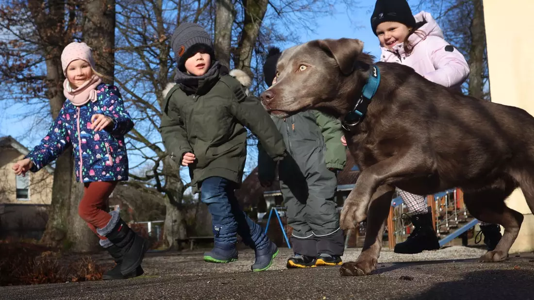 Kinder des Heinrich-Galm-Kindergartens in Memmingen spielen mit dem zweijährigen Kita-Hund Rocky. - Bild: Karl-Josef Hildenbrand/dpa