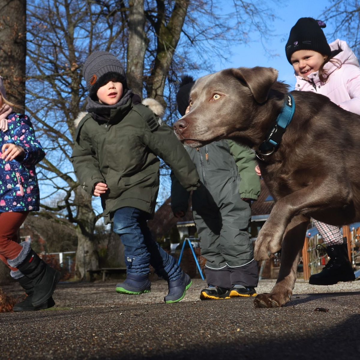 Kinder des Heinrich-Galm-Kindergartens in Memmingen spielen mit dem zweijährigen Kita-Hund 