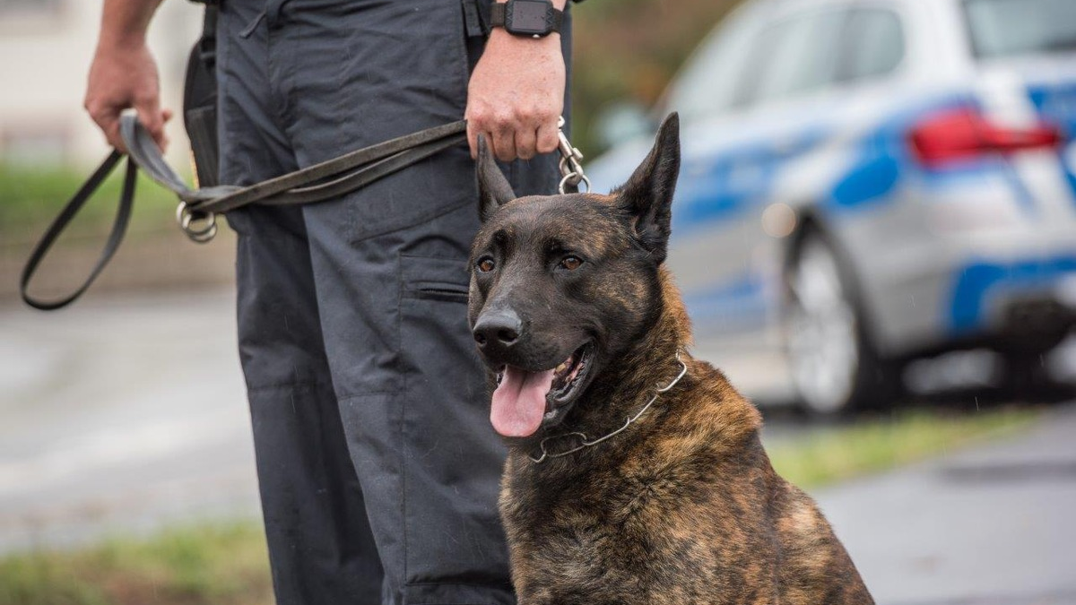 BPOL-KS: Gleissperrungen und Polizeieinsatz wegen zurückgelassenem Koffer - Foto: presseportal.de