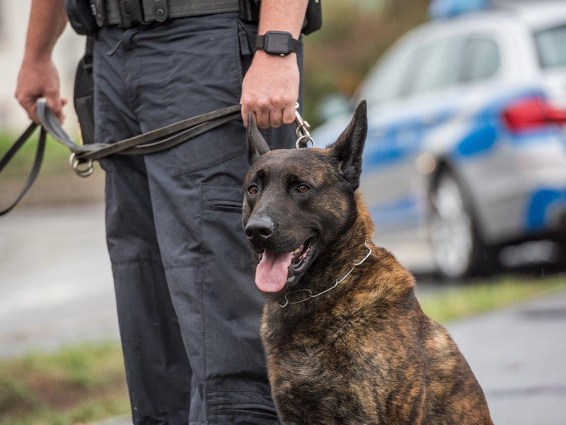 BPOL-KS: Gleissperrungen und Polizeieinsatz wegen zurückgelassenem Koffer - Foto: presseportal.de