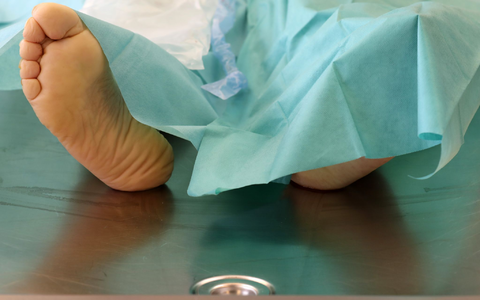 Die Polizei hat in Spanien eine Bande ausgehoben, die illegal mit Leichen gehandelt haben soll. - Foto: Bernd Wüstneck/dpa