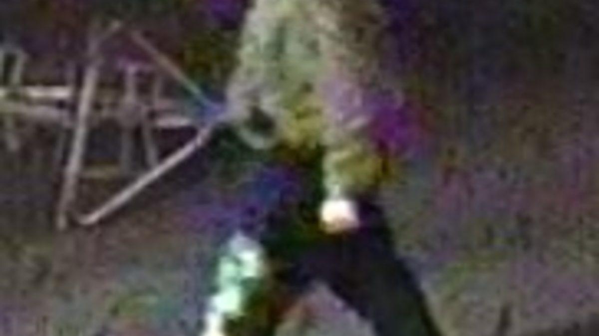 LPI-J: Zeugen nach besonders schweren Fall des Diebstahls im Versuch gesucht - Foto: presseportal.de