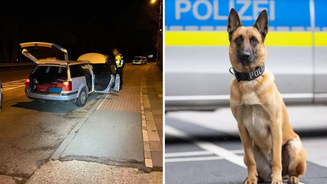 POL-OB: Cassy stoppt Autoaufbrecher nach Flucht in Oberhausen - Bild: presseportal.de