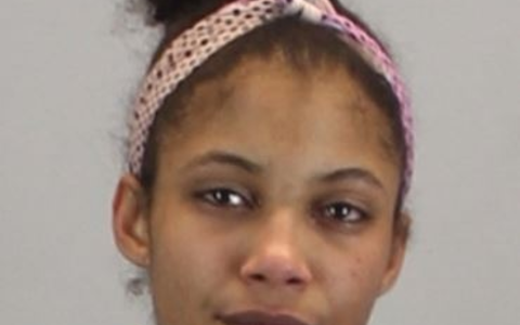 POL-OF: Vermisstensuche nach Felicia Ljimani - Foto: presseportal.de