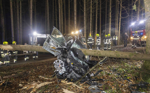 Feuerwehrleute betrachten das Auto im österreichischen Aurolzmünster, das in einen liegenden Baumstamm krachte. - Foto: Daniel Scharinger/APA/dpa