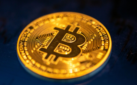 In Sachsen sind laut BKA 50.000 Bitcoins im Wert von rund zwei Milliarden Euro sichergestellt wotden. - Foto: Fernando Gutierrez-Juarez/dpa-Zentralbild/dpa/Archiv