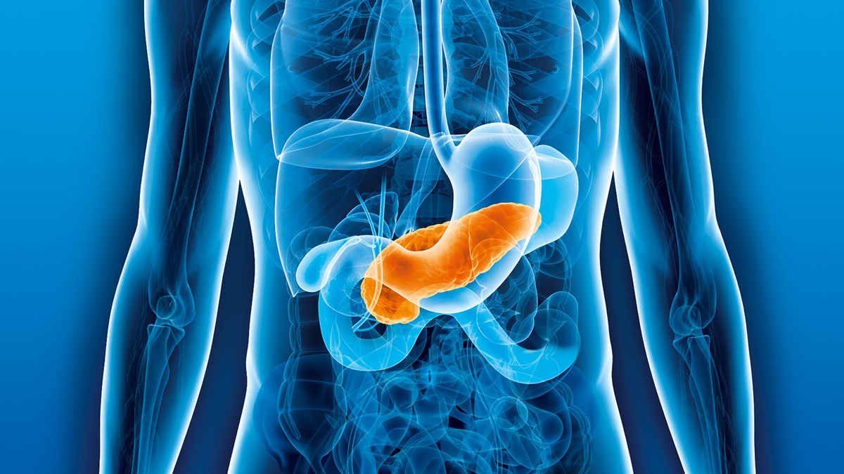 Weltkrebstag: 40 Millionen Euro für die Bekämpfung von Bauchspeicheldrüsenkrebs / Deutsche Krebshilfe richtet besonderes Förderschwerpunktprogramm ein - Foto: presseportal.de