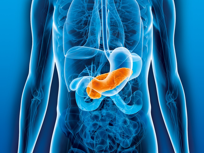 Weltkrebstag: 40 Millionen Euro für die Bekämpfung von Bauchspeicheldrüsenkrebs / Deutsche Krebshilfe richtet besonderes Förderschwerpunktprogramm ein - Foto: presseportal.de