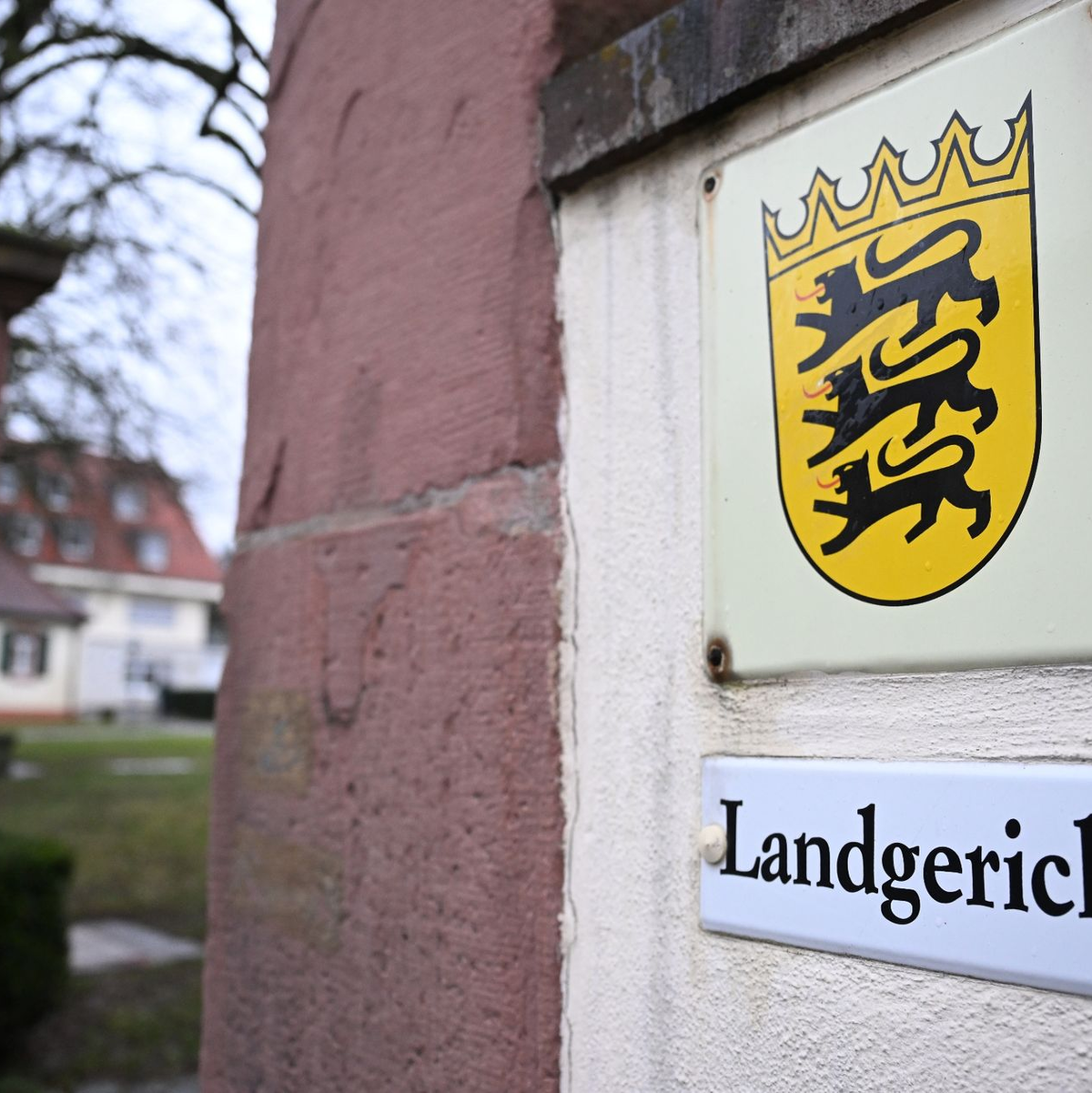 Vor dem Landgericht Mosbach hat der Prozess gegen einen selbst ernannten Life Coach und seinen jüngeren Bruder begonnen. - Foto: Bernd Weißbrod/dpa