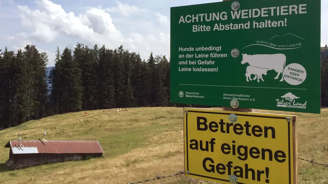 Ein Schild warnt vor dem Betreten einer Kuhweide (Symbolbild). - Bild: Sabine Dobel/dpa