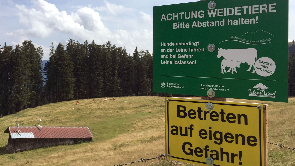 Ein Schild warnt vor dem Betreten einer Kuhweide (Symbolbild). - Foto: Sabine Dobel/dpa