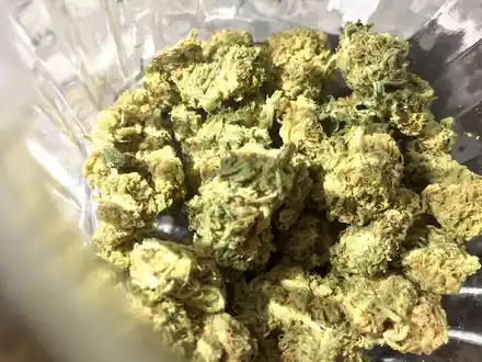 Ab 1. April für Erwachsene in Deutschland legal: Der Besitz und Konsum von Cannabis. - Foto: Lino Mirgeler/dpa
