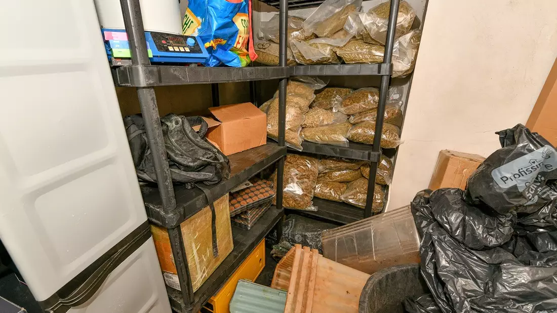 POL-E: Essen: Ermittlungserfolg des Rauschgiftkommissariats - Marihuana-Plantage in Essener Innenstadt aufgedeckt - Bild: presseportal.de
