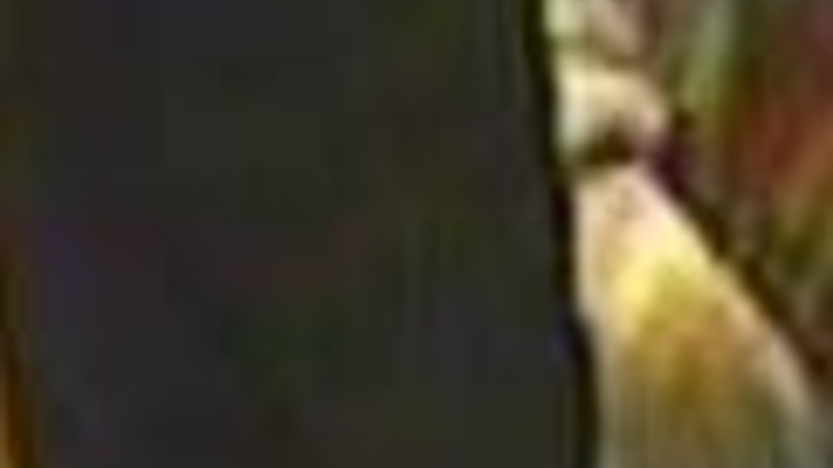 POL-HH: 240202-1. Öffentlichkeitsfahndung mit Lichtbildern nach Verdacht des sexuellen Übergriffs in Hamburg-Harburg - Foto: presseportal.de