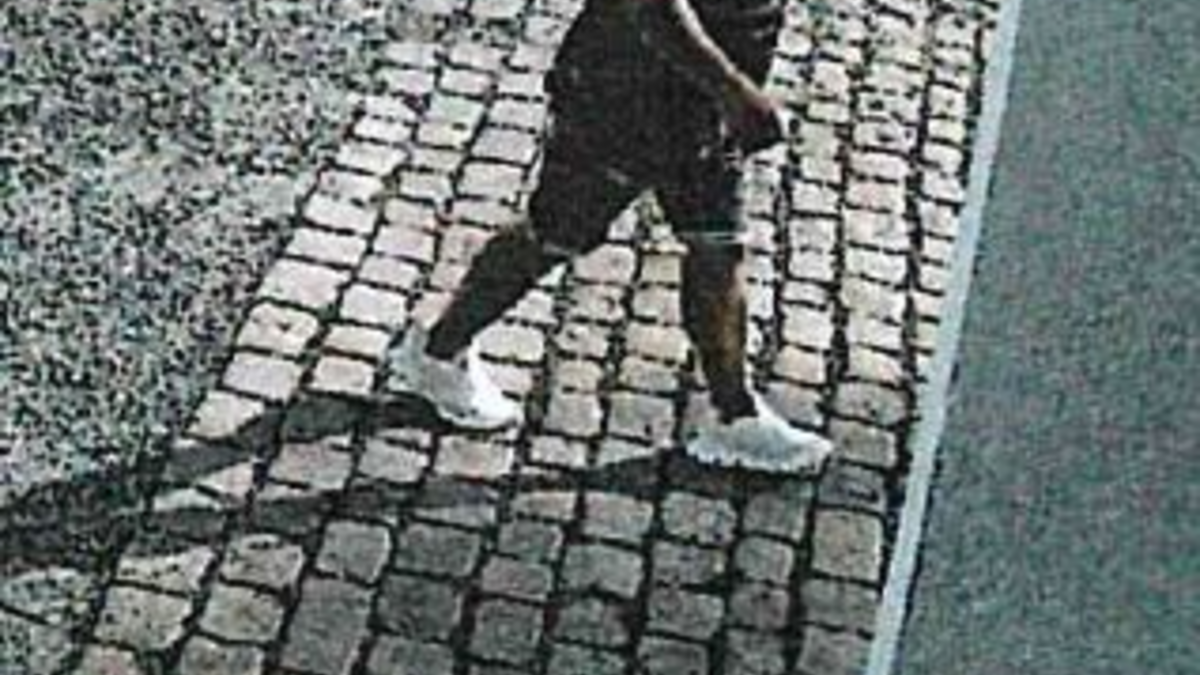 LPI-G: Einbruch in Vierseitenhof - Wer kennt diesen Mann? - Foto: presseportal.de