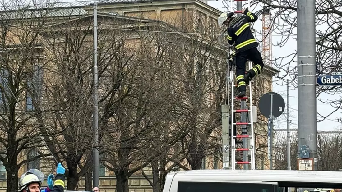 FW-M: Auto fällt Ampelmast (Maxvorstadt) - Bild: presseportal.de