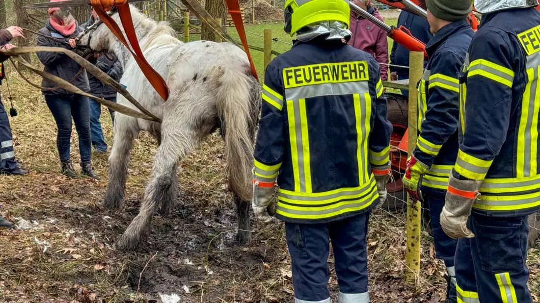 FW Flotwedel: Ortsfeuerwehr Nienhof befreit Pferd aus misslicher Lage - Bild: presseportal.de