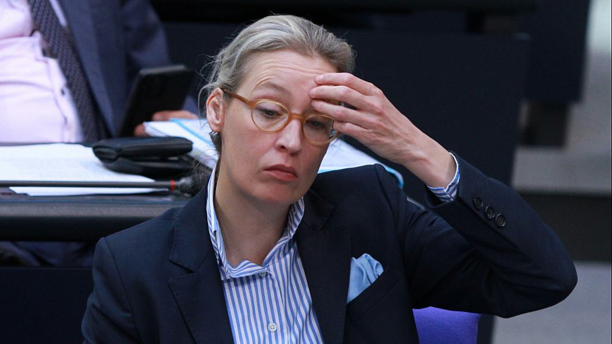 Alice Weidel am 01.02.2024 - Foto: über dts Nachrichtenagentur