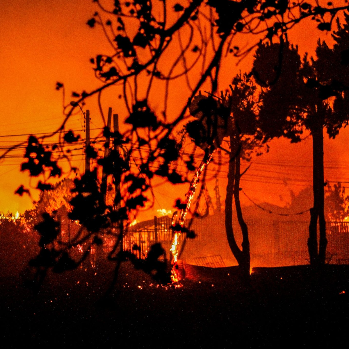 Flammen und Rauch sind zu sehen, als Häuser während eines Waldbrandes in Chile niederbrennen. - Foto: Cristobal Basaure Araya/SOPA Images via ZUMA Press Wire/dpa