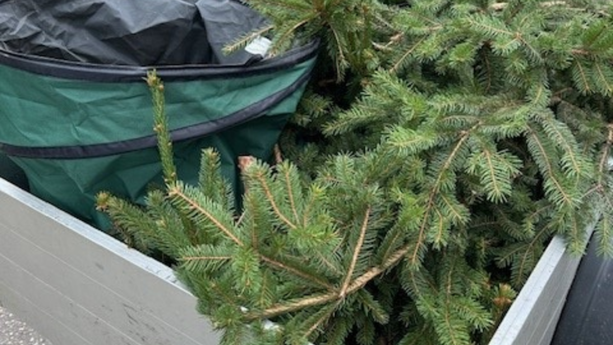 POL-PDLD: Verkehrsstandkontrolle im Bereich Berg - Foto: presseportal.de