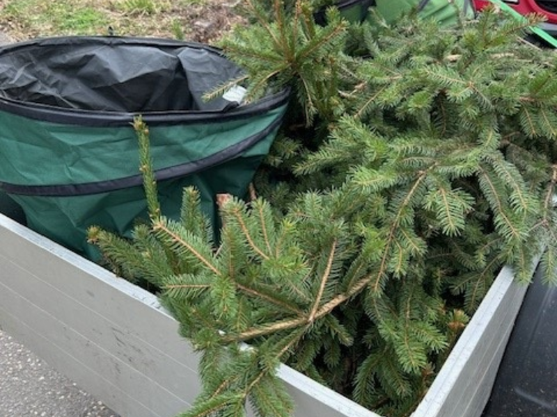 POL-PDLD: Verkehrsstandkontrolle im Bereich Berg - Foto: presseportal.de