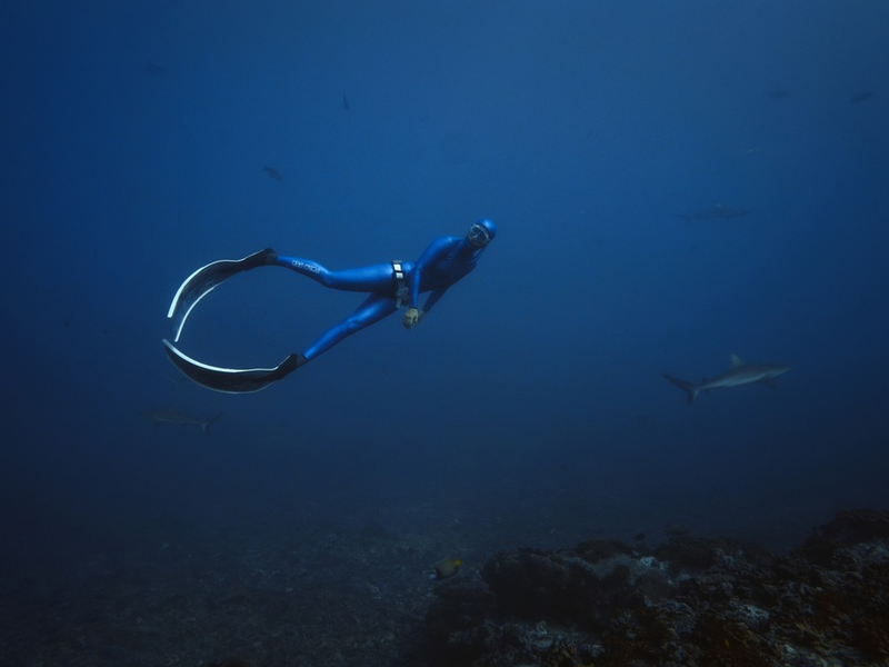 Waterwoman: vier neue Unterwasser-Abenteuer mit Anna von Boetticher, Deutschlands erfolgreichster Apnoe-Taucherin - Foto: presseportal.de