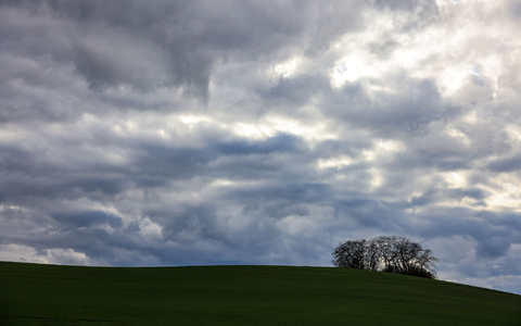 Wolken ziehen bei viel Wind über einen Hügel bei Peterberg in Sachsen-Anhalt. «Der Beginn des Februars ist eine Jahreszeit, an dem der Winter gerne seinen Höhepunkt erreicht. Davon ist in diesem Jahr allerdings nichts zu sehen», teilt der DWD mit. - Foto: Jan Woitas/dpa