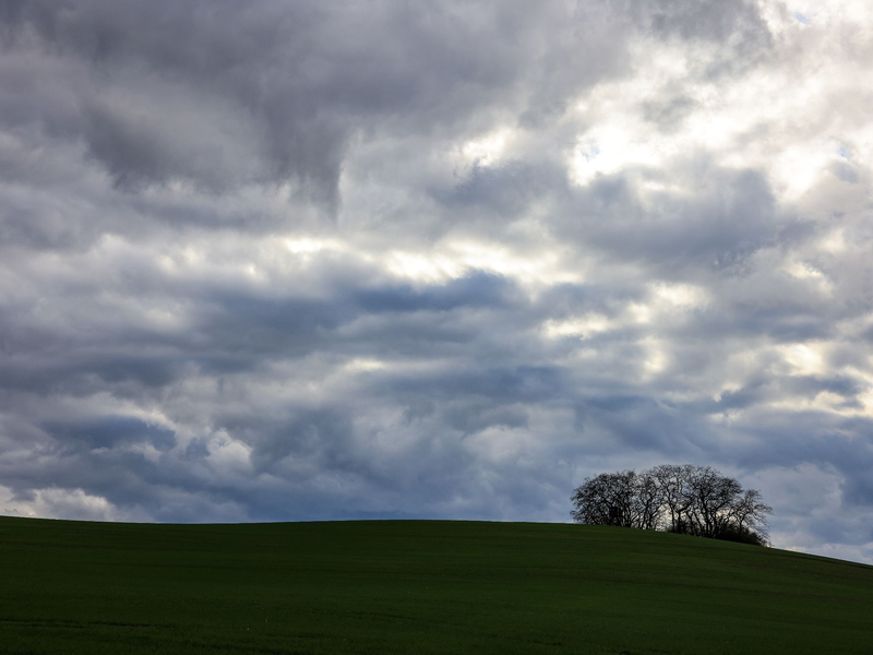 Wolken ziehen bei viel Wind über einen Hügel bei Peterberg in Sachsen-Anhalt. «Der Beginn des Februars ist eine Jahreszeit, an dem der Winter gerne seinen Höhepunkt erreicht. Davon ist in diesem Jahr allerdings nichts zu sehen», teilt der DWD mit. - Foto: Jan Woitas/dpa