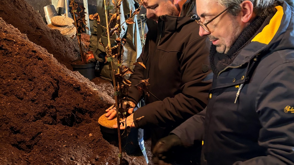 Rouenhoff: Mehr Verlässlichkeit und Planungssicherheit schaffen - Foto: presseportal.de