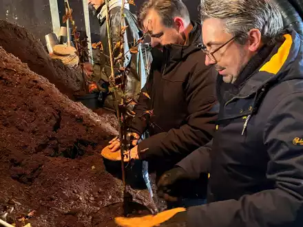 Rouenhoff: Mehr Verlässlichkeit und Planungssicherheit schaffen - Foto: presseportal.de