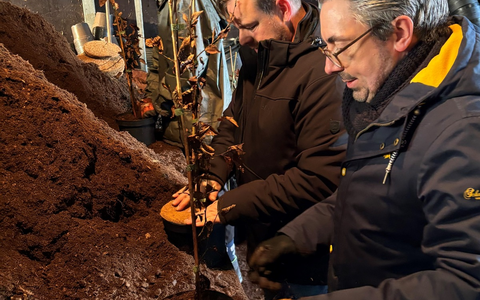 Rouenhoff: Mehr Verlässlichkeit und Planungssicherheit schaffen - Foto: presseportal.de