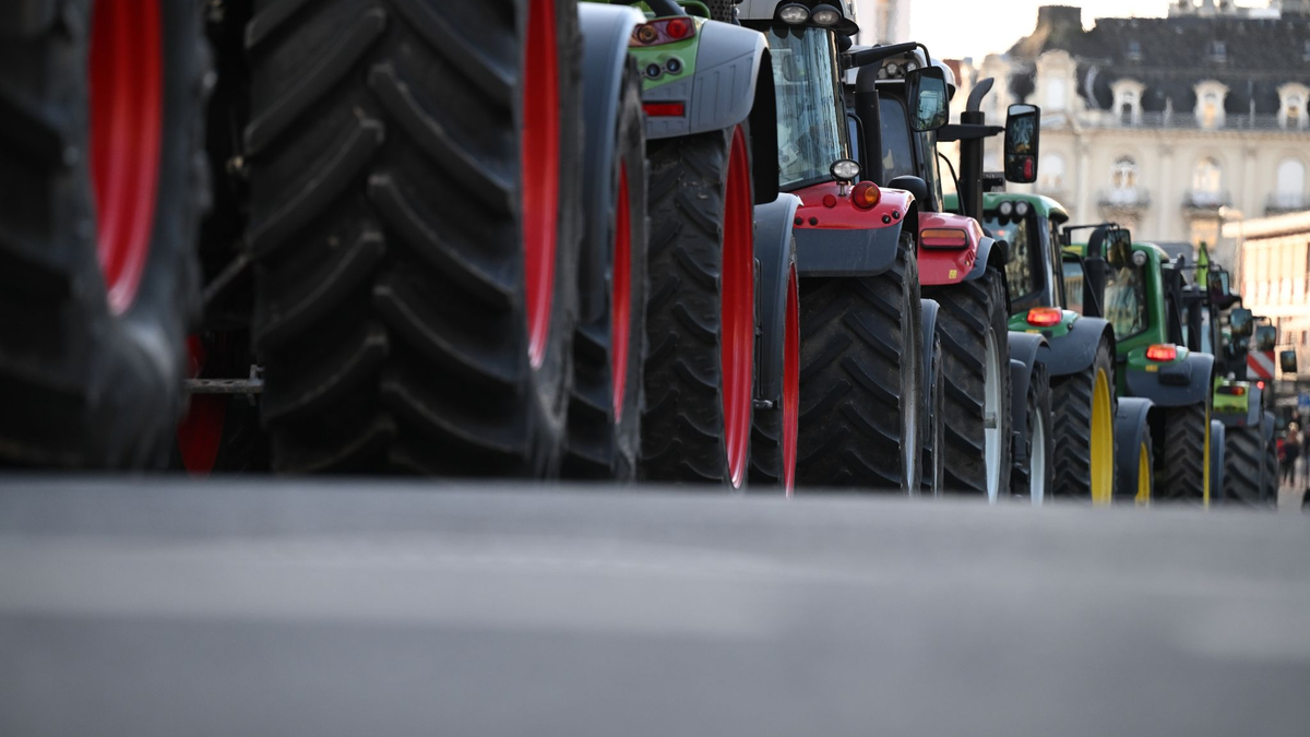 Auch in den Niederlanden protestieren Bauern gegen die europäische Agrarpolitik. (Symbolbild/Archivbild) - Foto: Arne Dedert/dpa