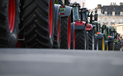 Auch in den Niederlanden protestieren Bauern gegen die europäische Agrarpolitik. (Symbolbild/Archivbild) - Foto: Arne Dedert/dpa