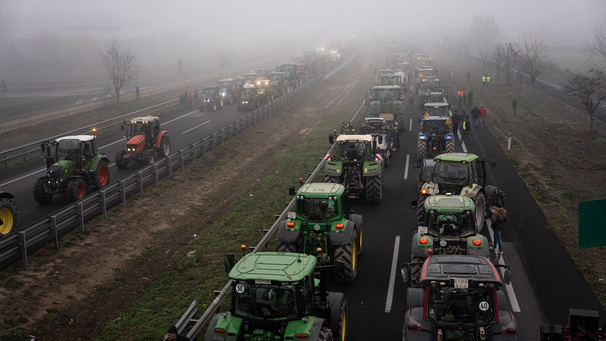 Hunderte von katalanischen Landwirten und Viehzüchtern haben sich den Protesten auf europäischer Ebene angeschlossen. - Foto: Marc Asensio Clupes/ZUMA Press Wire/dpa