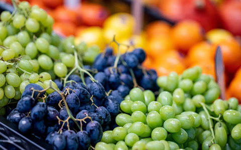 Laut einem Statistik-Handbuch zur Fruit Logistica wurden im vergangenen Jahr in Deutschland 5,2 Millionen Tonnen Obst und Gemüse geerntet. - Foto: Fabian Sommer/dpa