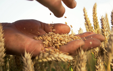 Geheime Weltmächte: ZDFinfo-Dokureihe über globale Player auf wichtigen Märkten - Foto: presseportal.de